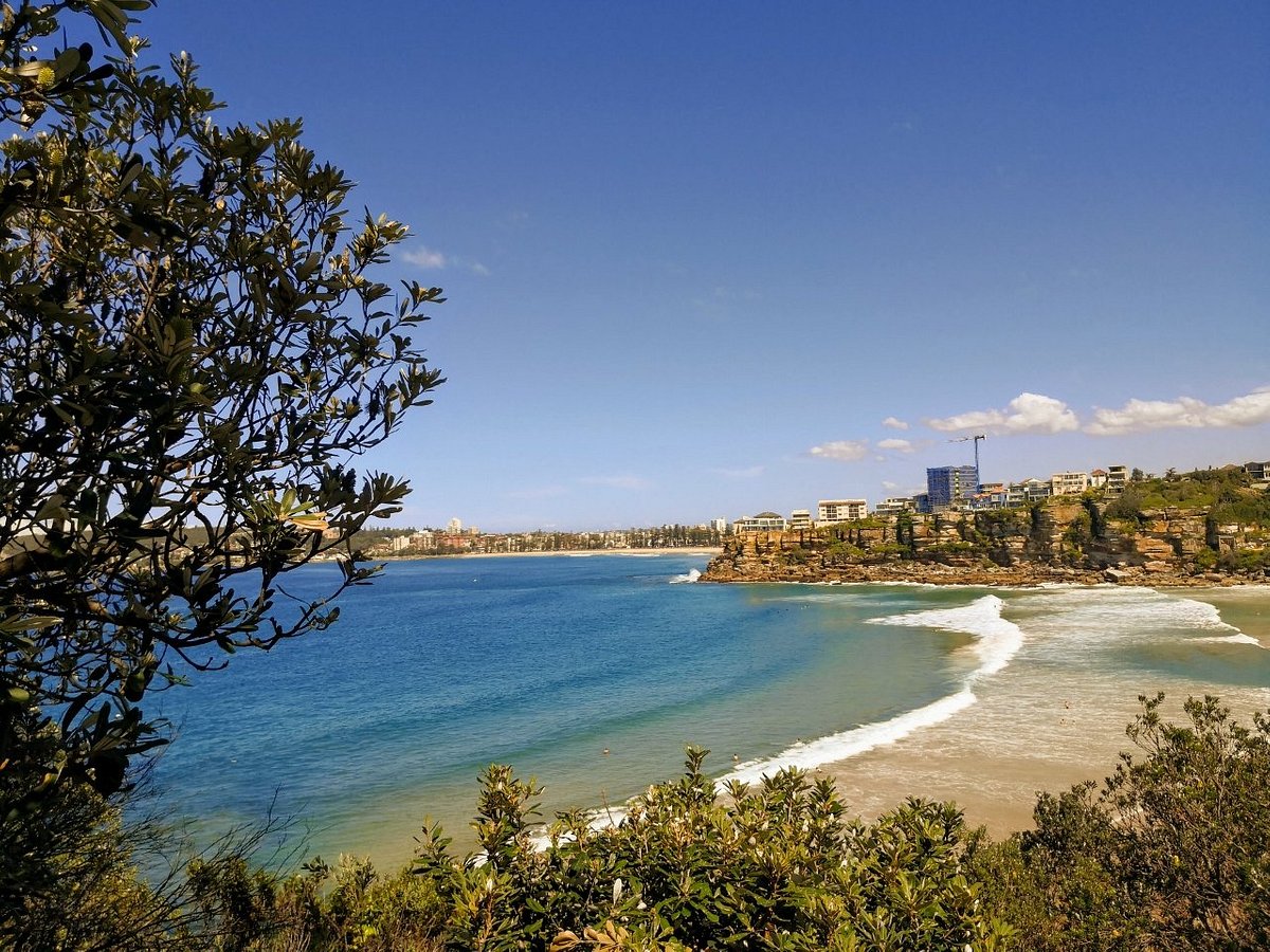 Photo of Freshwater Beach in Manly